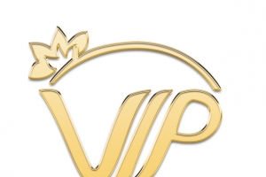 VIP 高端素材图
