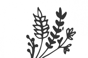 卡通简约黑白插画小清新花草