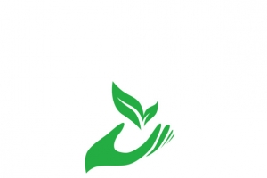 手拿着树叶图标