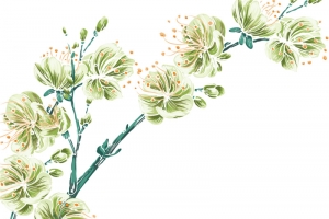 唯美手绘玉兰花高清PNG透明装饰元素花纹设计素材免费下载