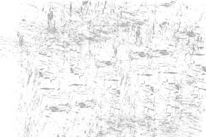 矢量纹理