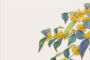 简约清新秋分节气
