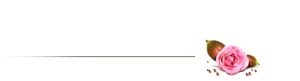 页面花朵分割线标题栏