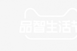 天猫2020_品智生活节315