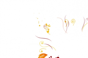 线条花瓣设计