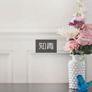 知青文学艺术书籍精选