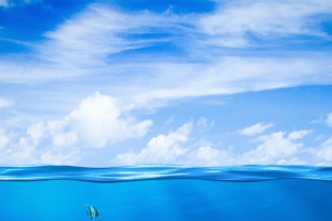 蓝天白云风景海水海面鱼类动物背景素材