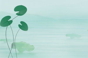 夏至荷叶池塘清凉绿色背景