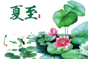夏至节气手绘荷叶元素