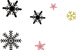 春节圣诞素材不同的雪花矢量图