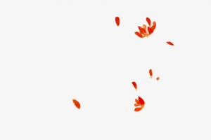 中国古风水彩插画素材