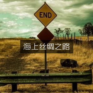 海上丝绸之路，探索历史文化精髓的书籍