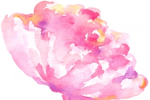 粉色的花