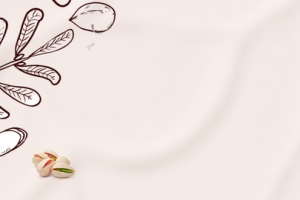 淘宝坚果上新大促简约浅色banner