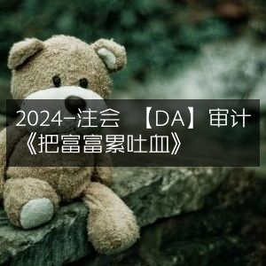 2024年注会【DA】审计，《富富累吐血》深度解析