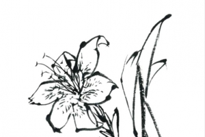线描蝴蝶花