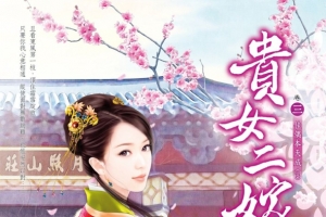 贵女二嫁小说封面