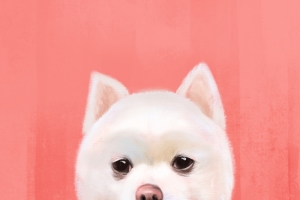 纯手绘粉色卡通博美犬