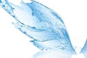 水波水纹水形翅膀