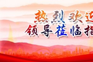 欢迎领导莅临指导红色背景