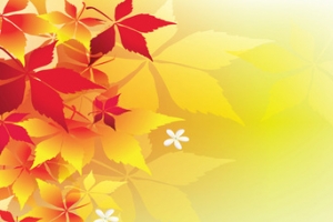 炫彩淘宝广告banner