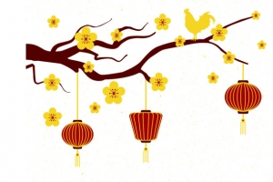 中国新年背景与枝金花