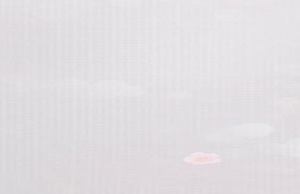 教师节鲜花banner创意设计