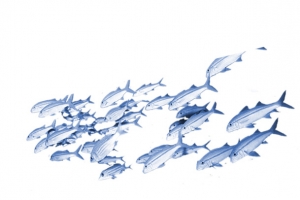 海底世界