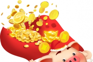 2019猪年送财新年喜庆