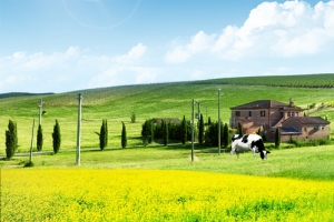 农业宣传banner