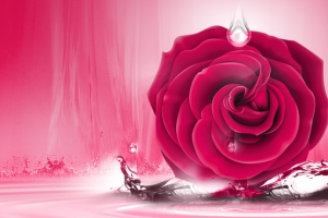 淘宝化妆品玫瑰花红色水滴背景banner