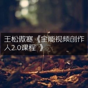 王松傲寒《全能视频创作2.0精讲课》