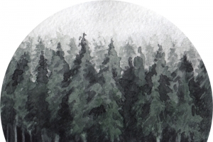 水彩卡通油画森林