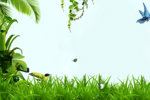 春天环绕树叶草地小鸟蓝banner