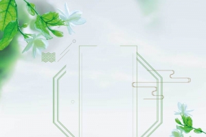 中国风茉莉花茶海报