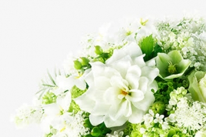 免抠绿叶白花点缀图片