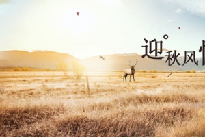 迎秋风情背景