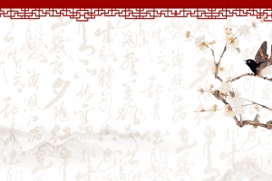 养生足浴药浴中国风清新海报背景