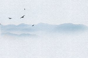 中国风水墨白露背景