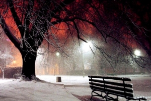 雪地夜晚大树座椅海报背景