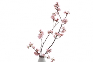 花瓶