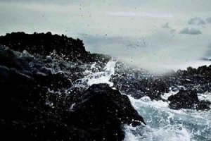 钓鱼宣传 海报素材