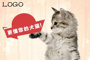 猫咪宠物猫粮直通车