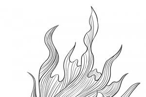 手绘鲤鱼矢量素材图线稿