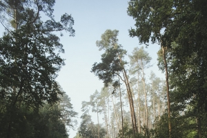 公路 摄影 风景 清新