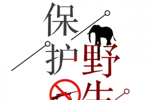 保护野生动物