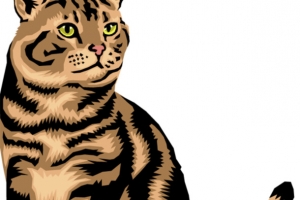 卡通装饰猫咪