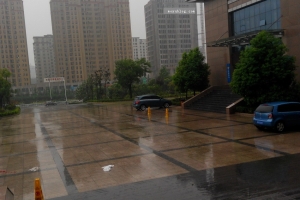 随拍（等待潘哥，下雨了！）