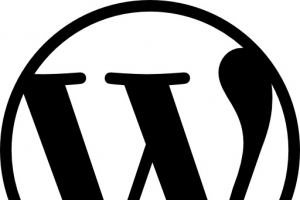 WordPress的标志图标