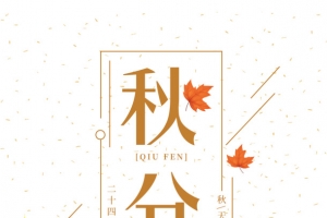 秋天秋分枯叶落叶二十四节气